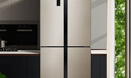 2012年电冰箱十大品牌排行榜_2012年电冰箱十大品牌排行榜及价格